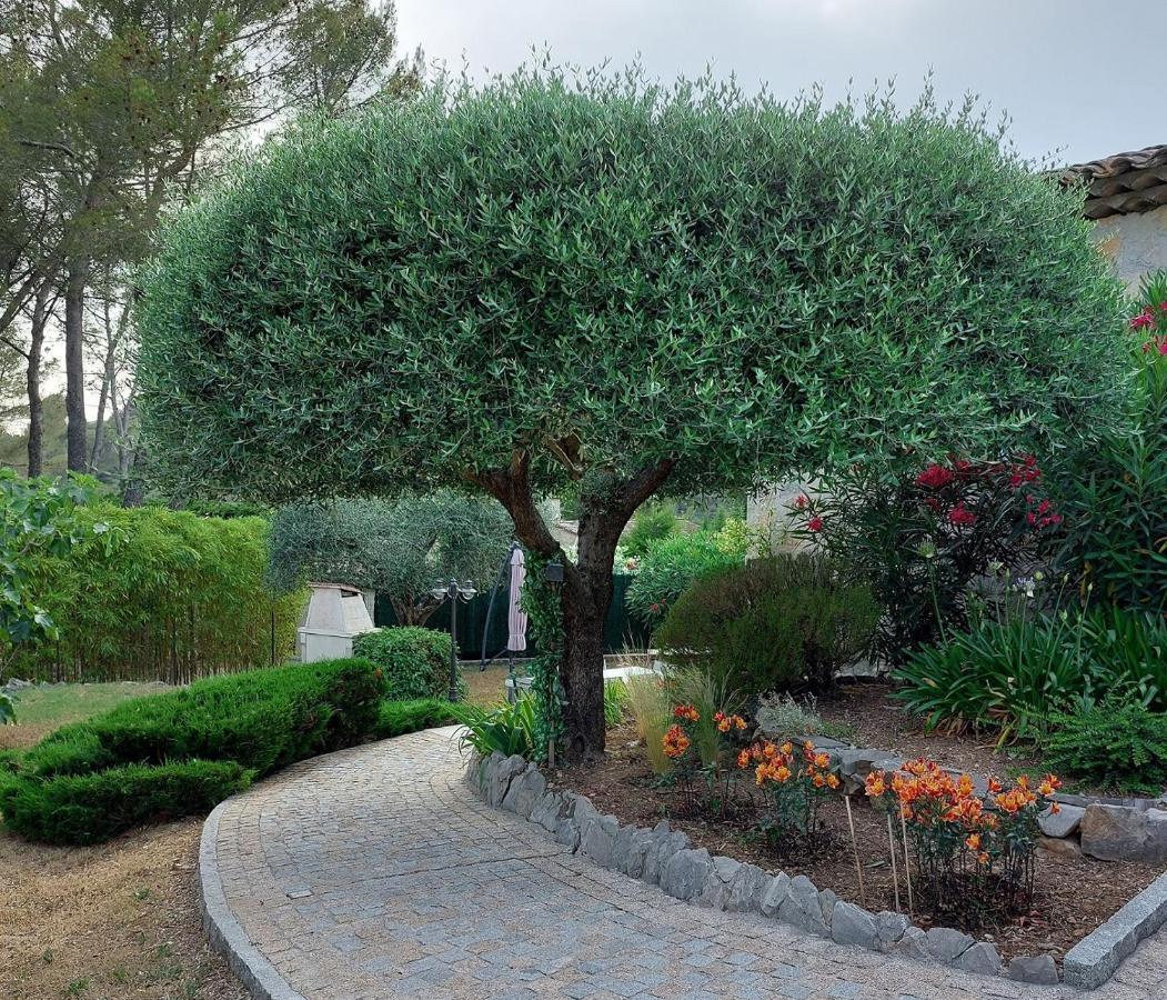Gite Les Pins Climatise Piscine Chauffee Jardin Peymeinade 外观 照片